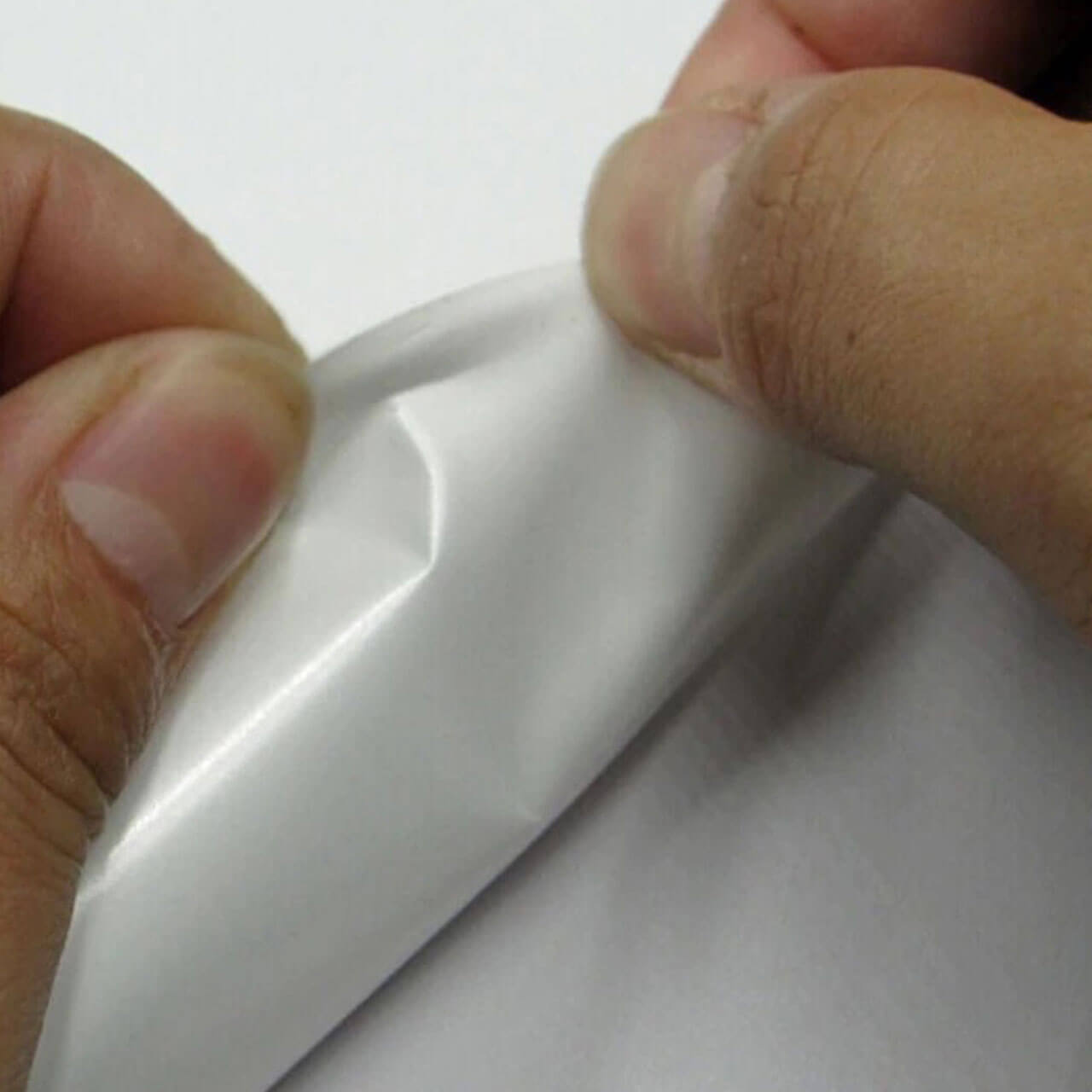 Synthetic Widespread for Outdoor Tag uses for Airport Tags