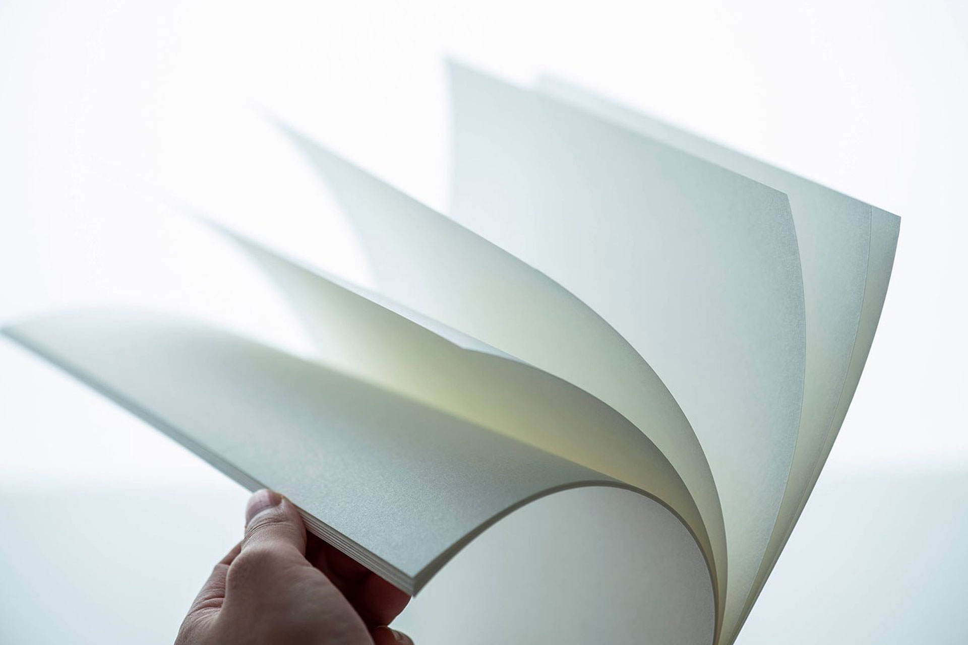  Dangler Paper